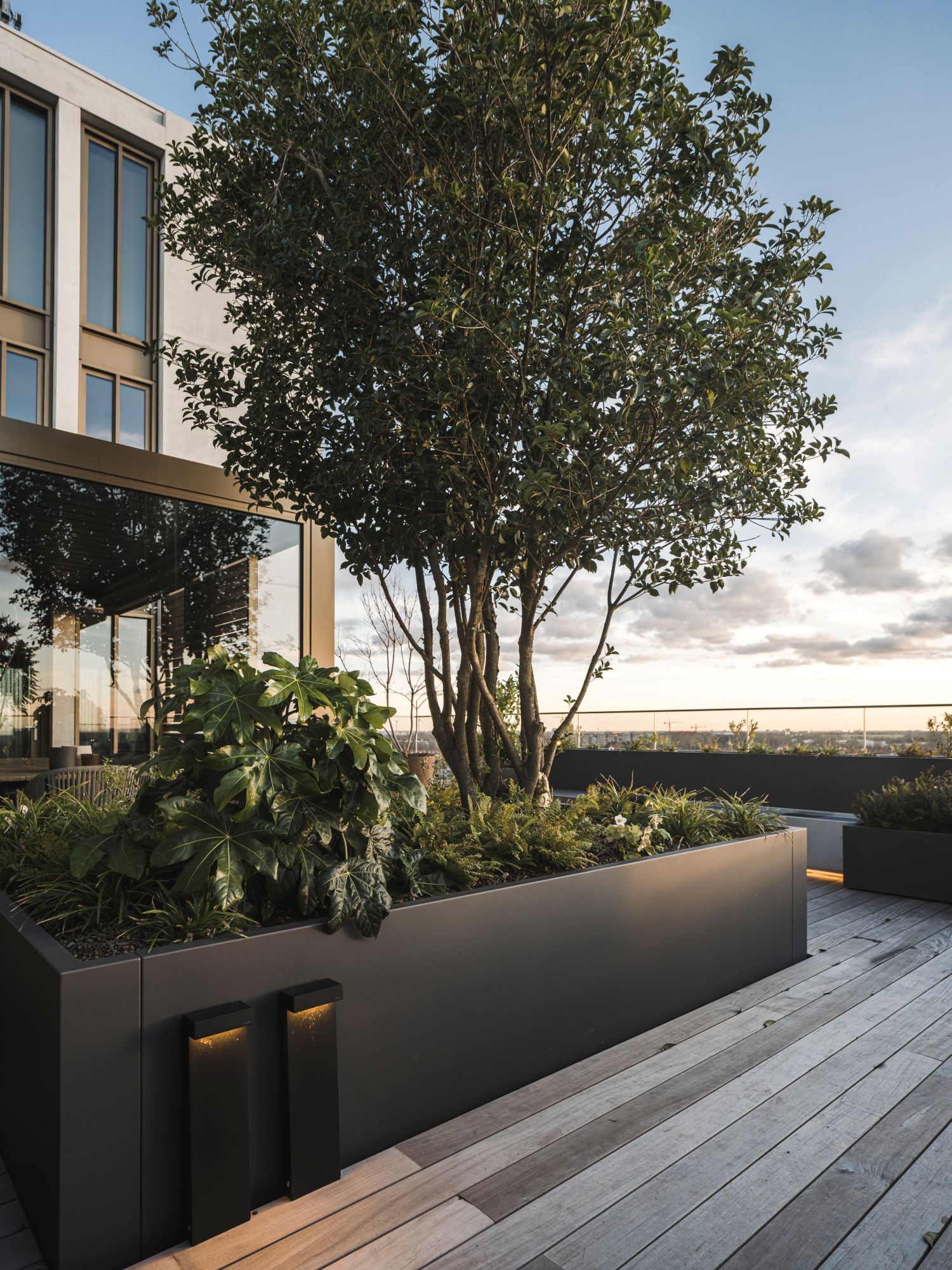 beplanting tuin