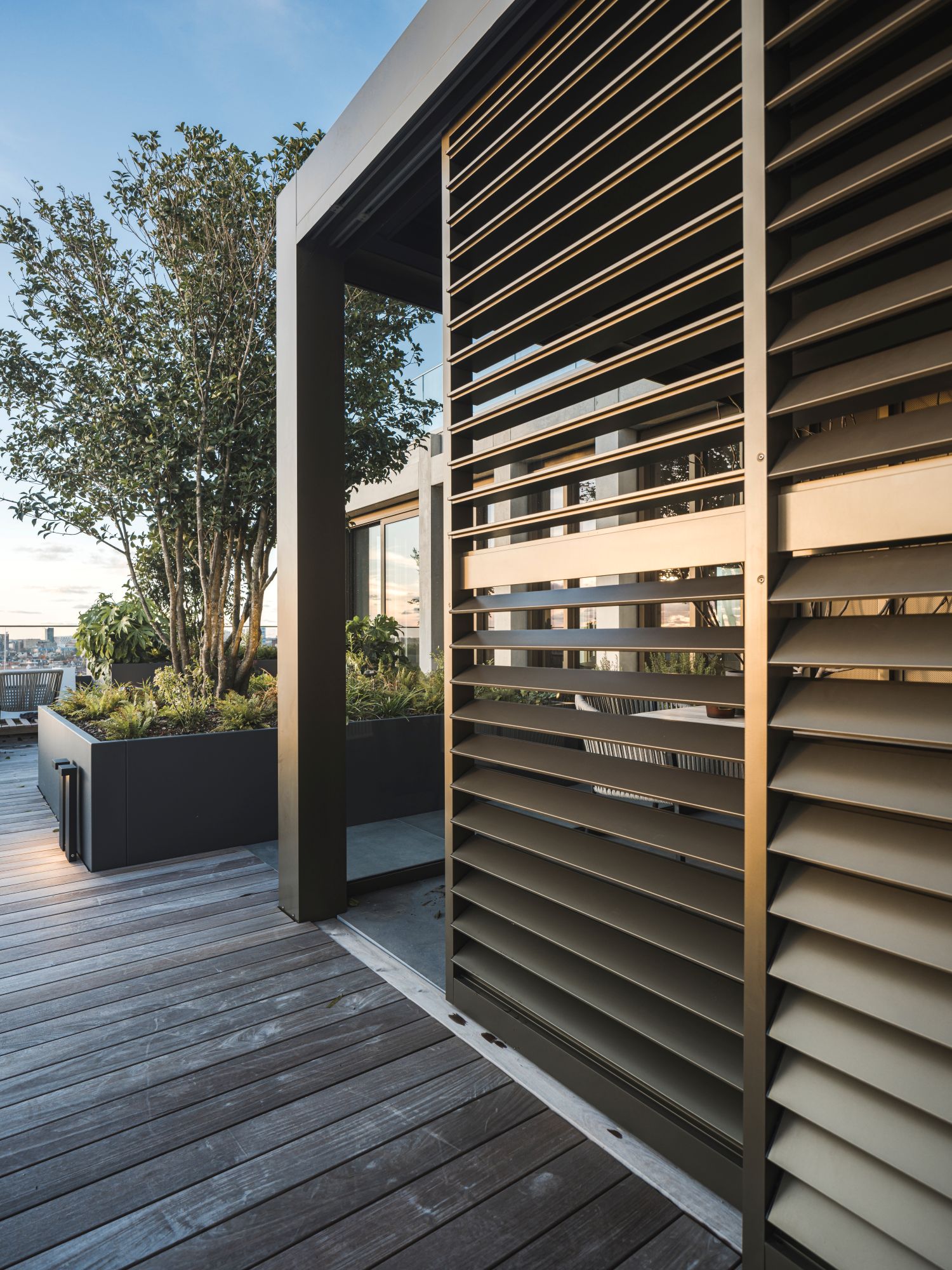 moderne tuin