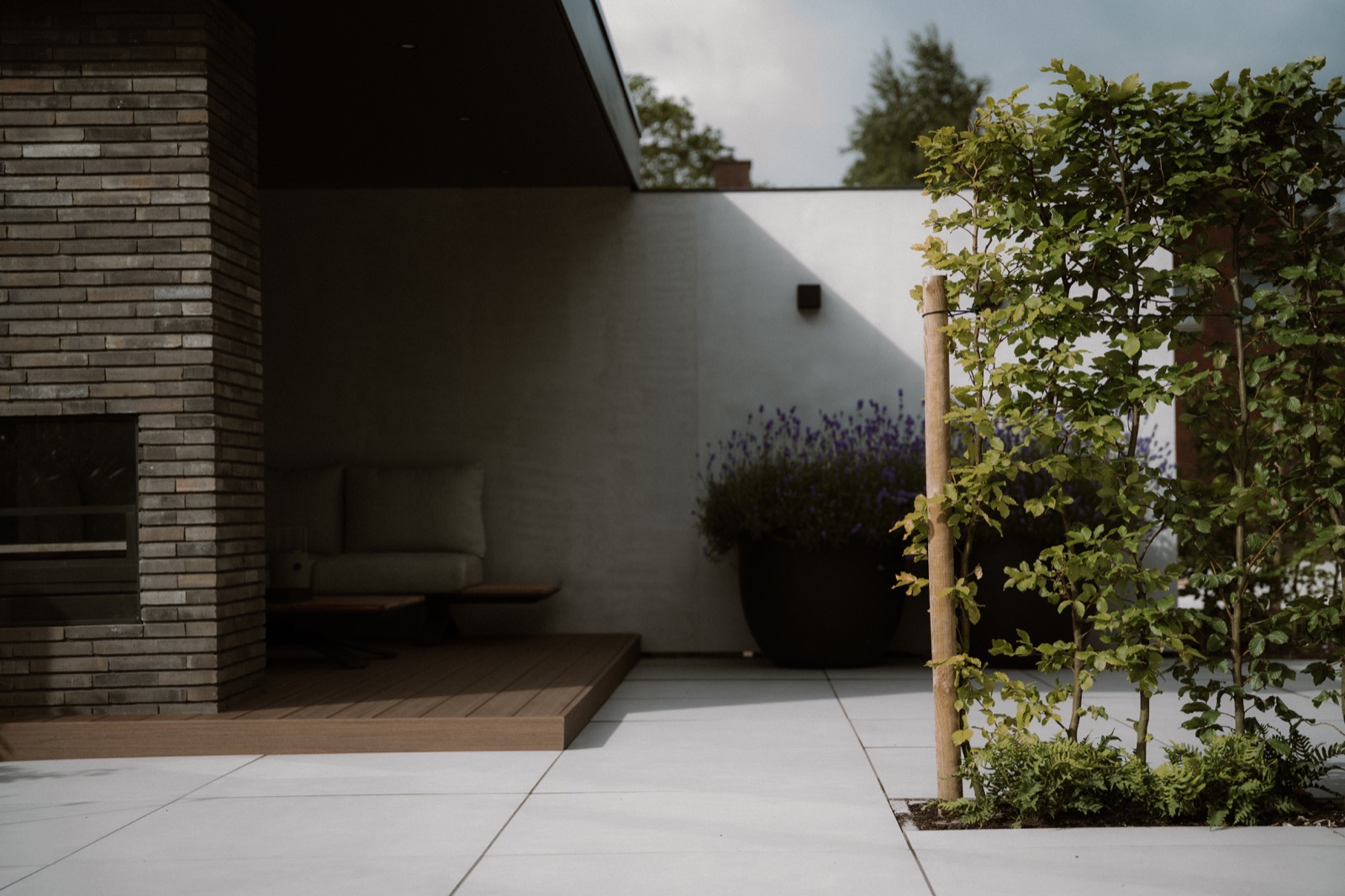 moderne tuin