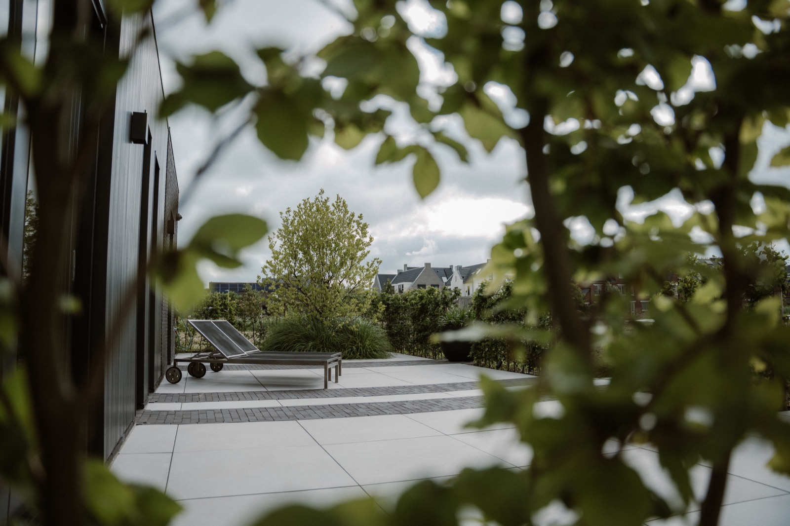 moderne tuin met groene beplanting