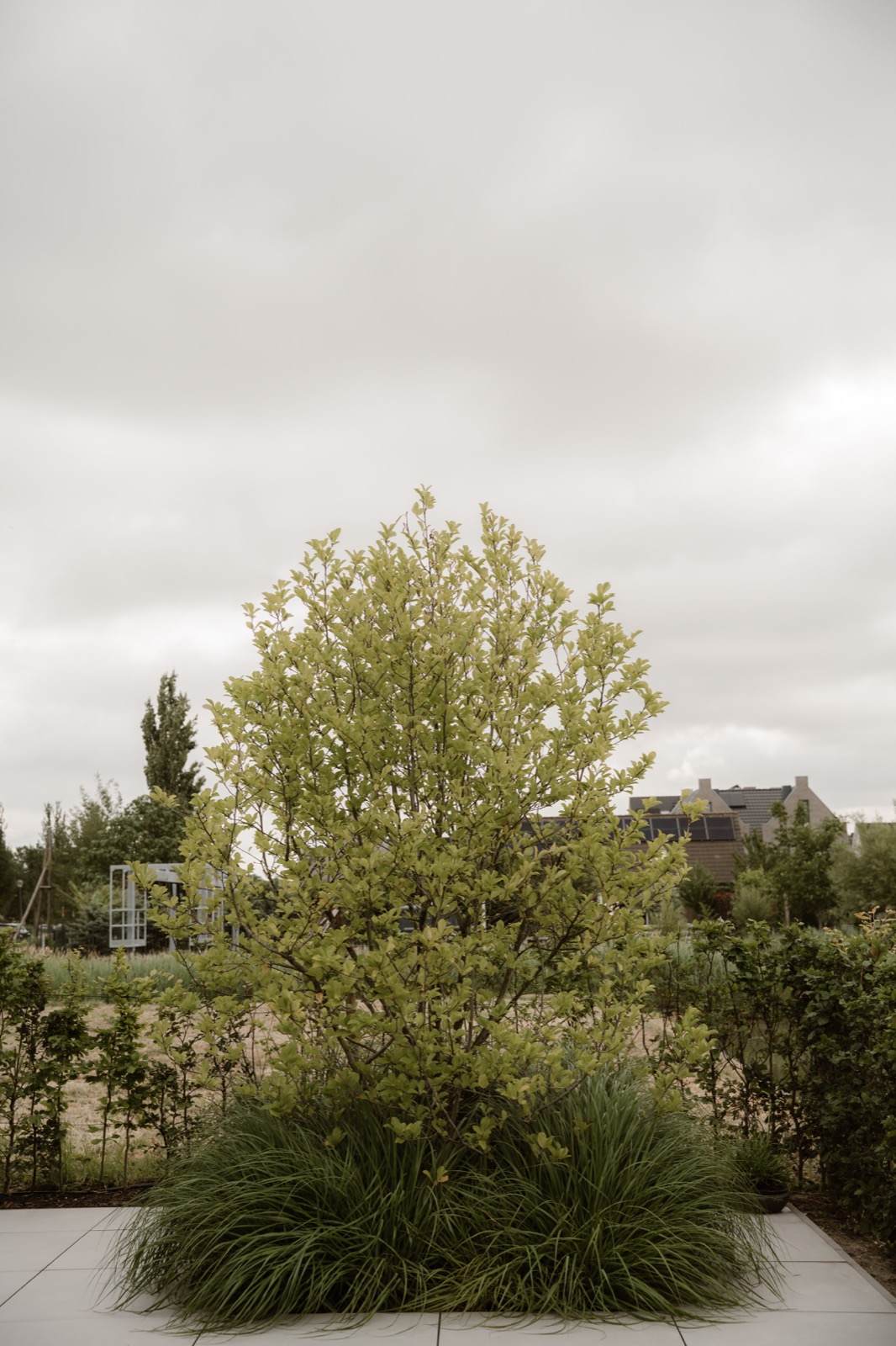 luxe tuin design