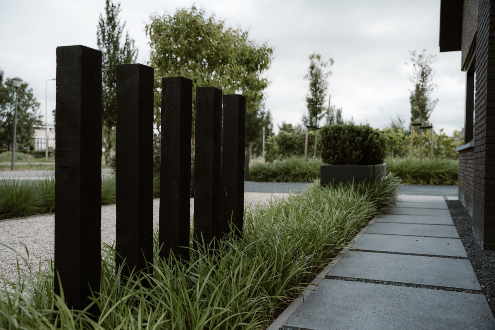 groene tuin aan het water
