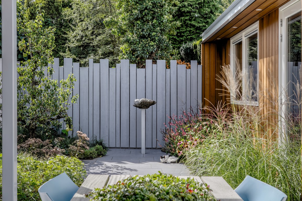 tuin met beplanting