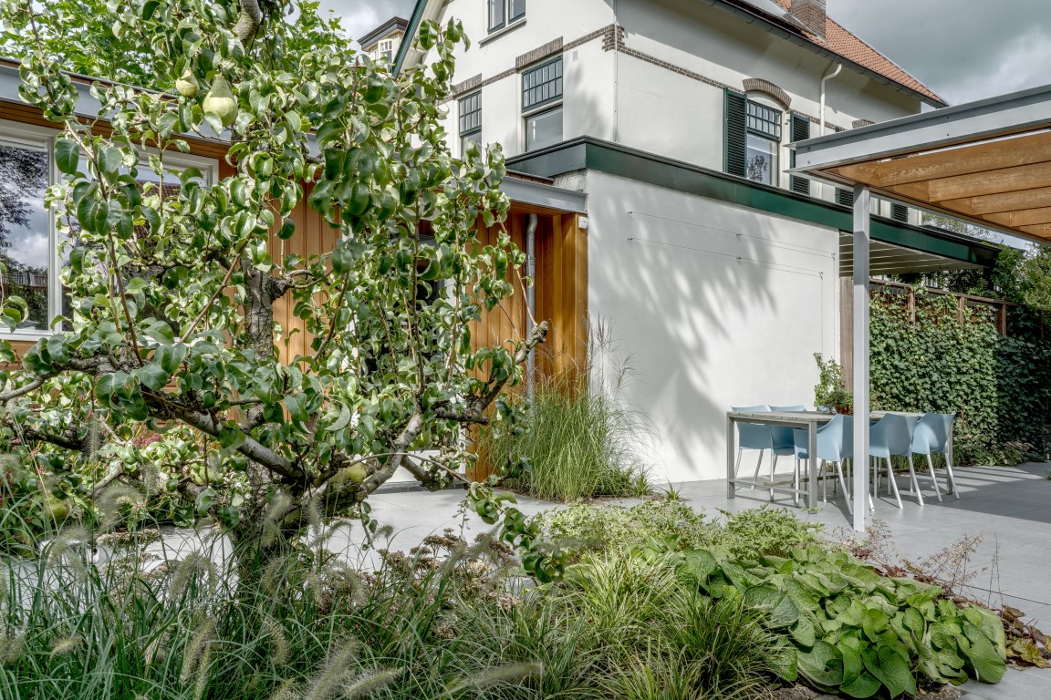 groene tuin met luxe beplanting