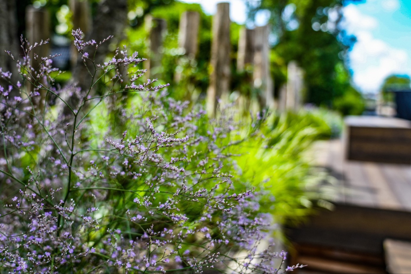 luxe bloemen in tuin