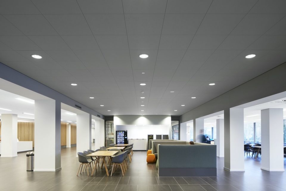 design hal