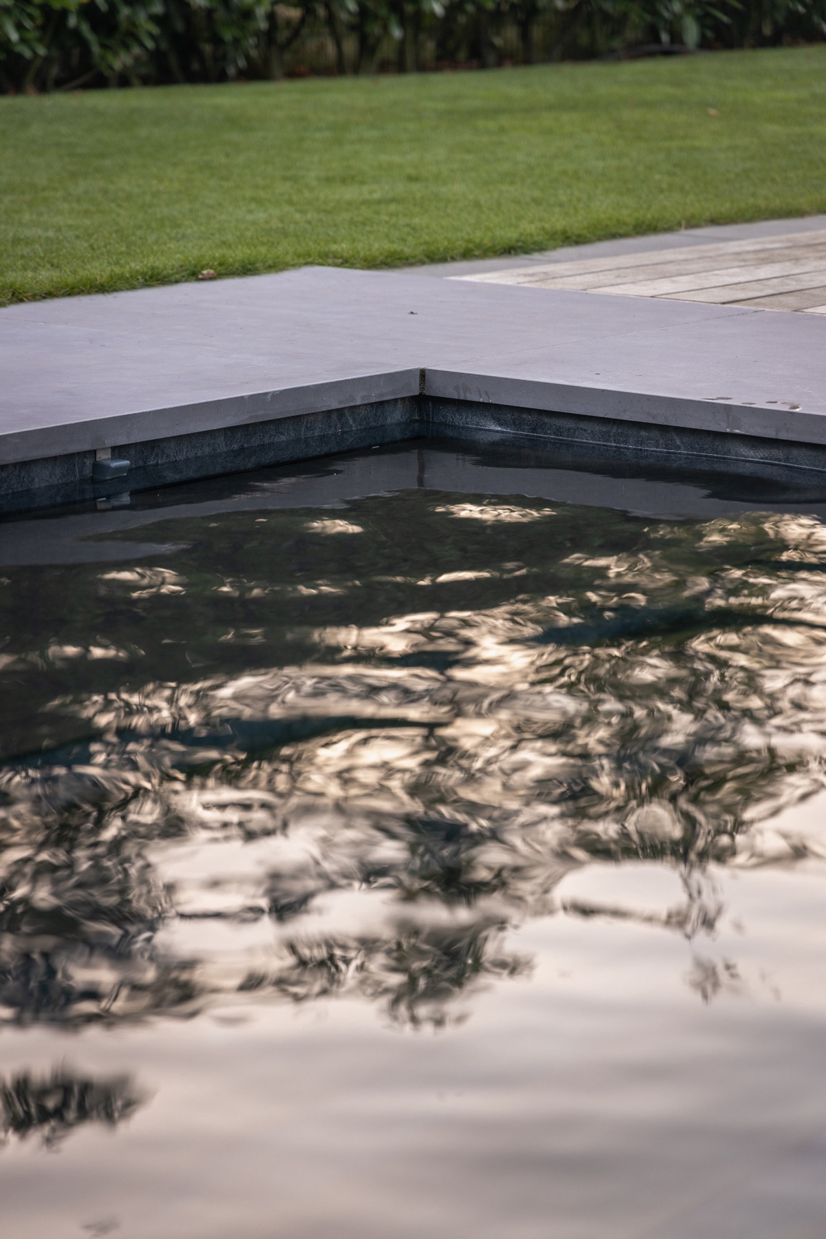 biozwembad met gezuiverd water