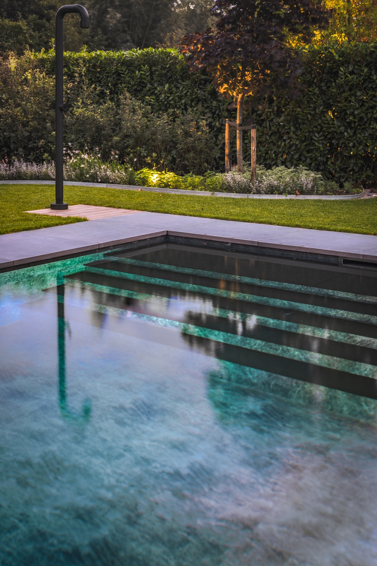 tuin met luxe zwembad