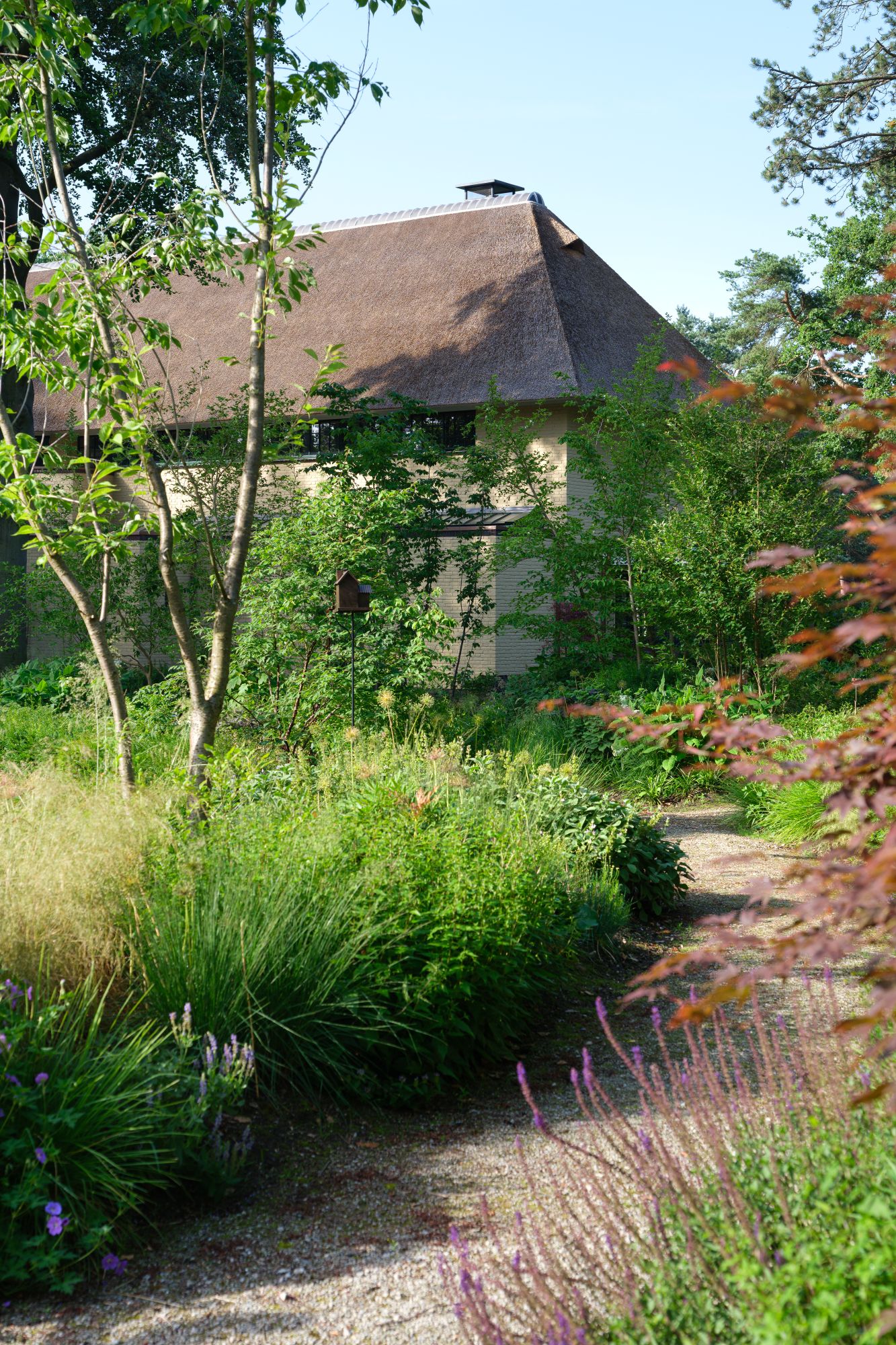groene tuin