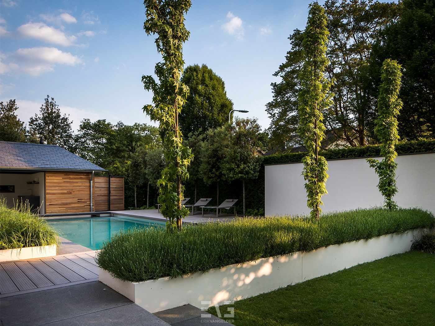 tuin met zwembad
