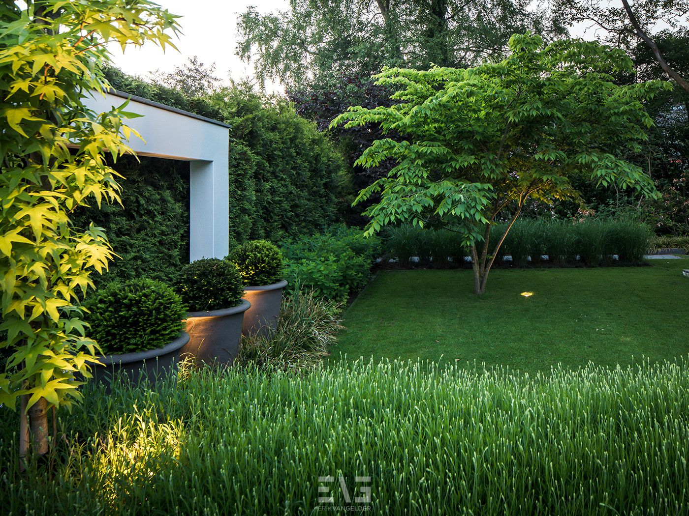 groene tuin