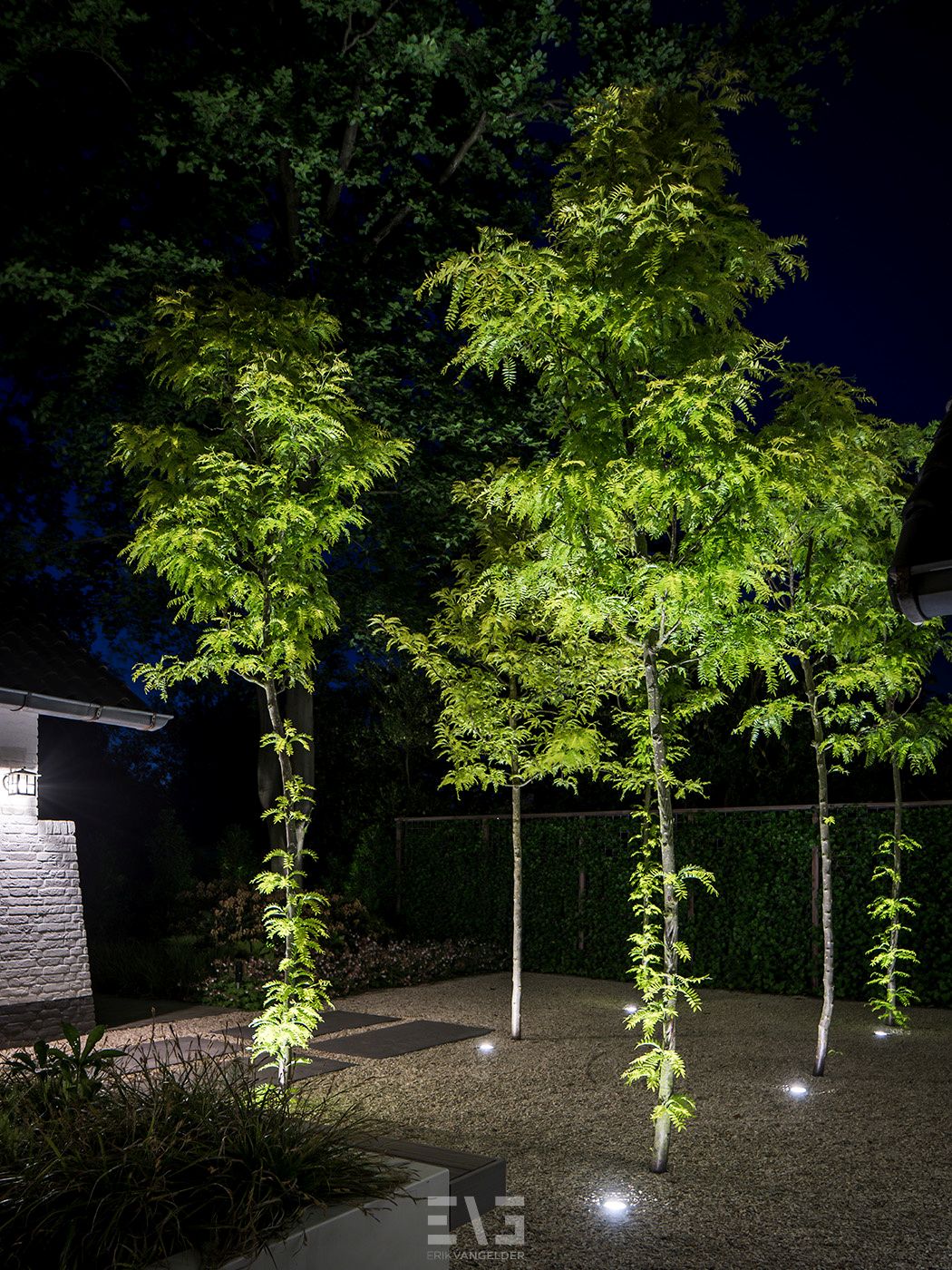 planten