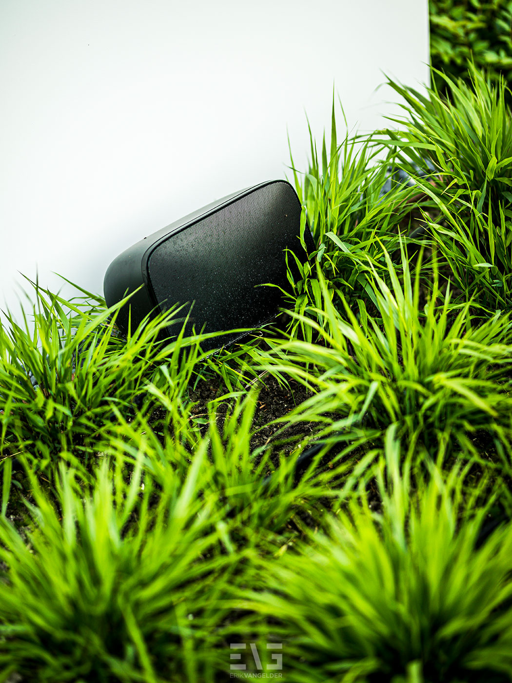 groene beplanting