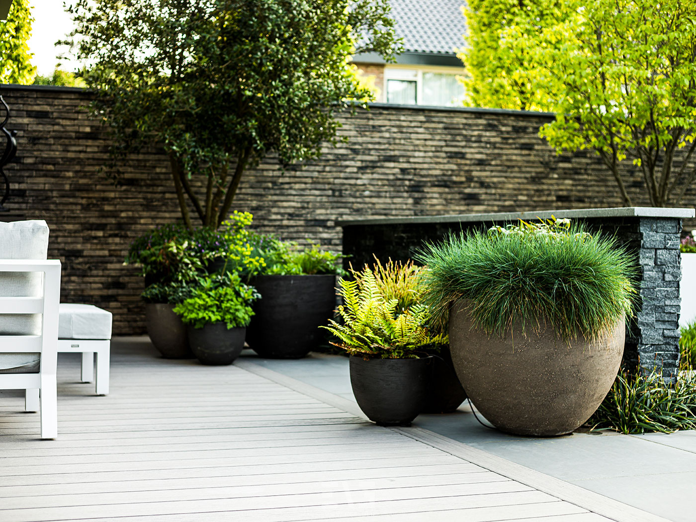 moderne tuin