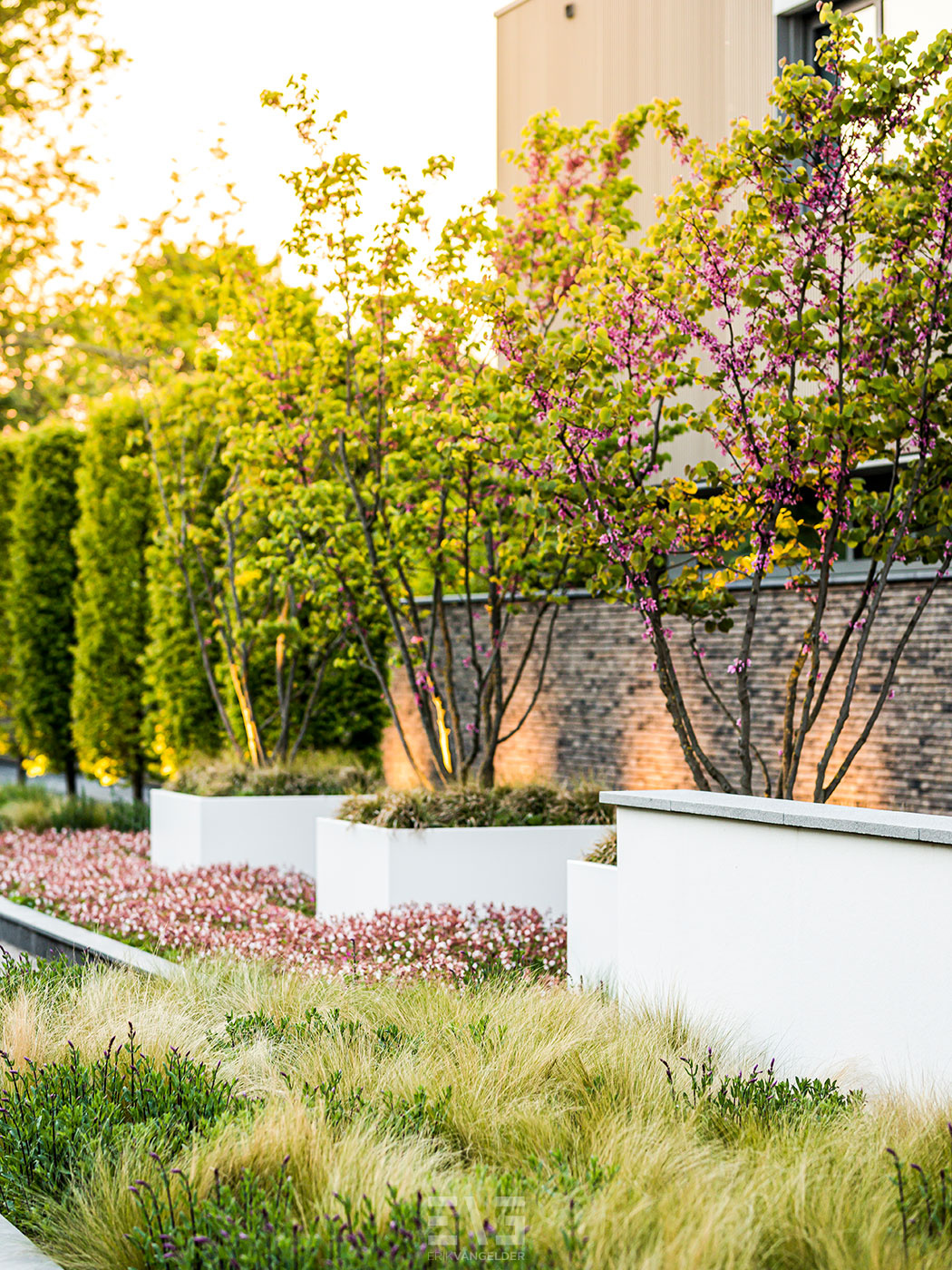 luxe tuin
