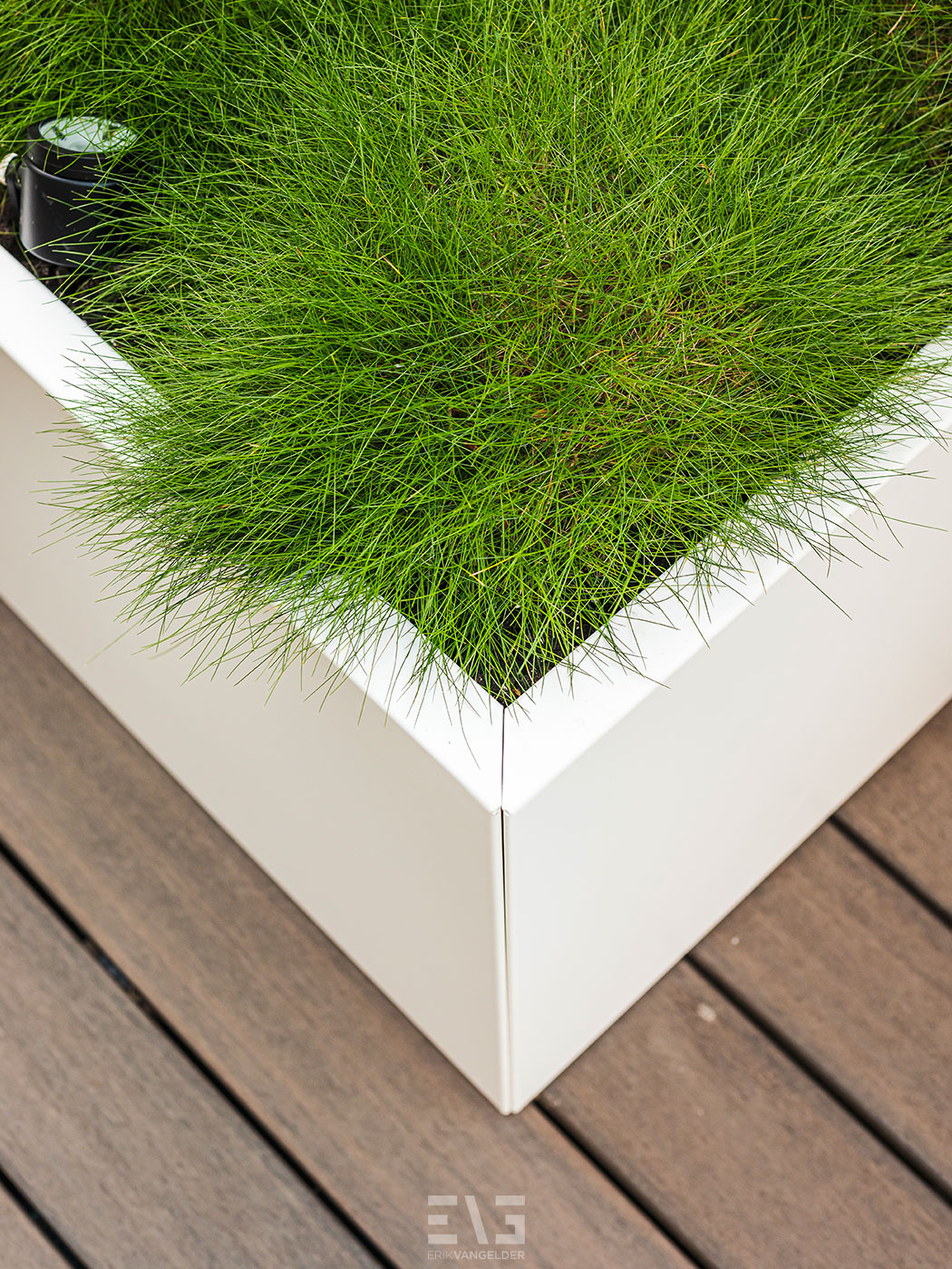 tuin detail