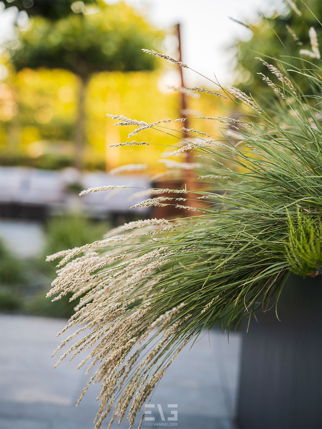 tuindetail