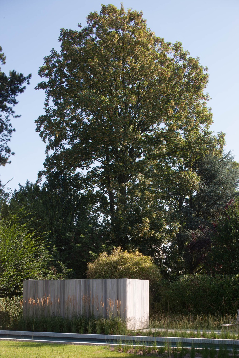 tuin met vijver