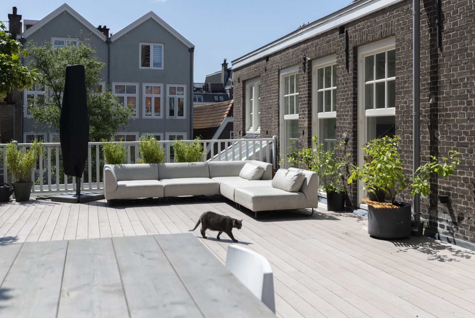 luxe tuin ontwerp