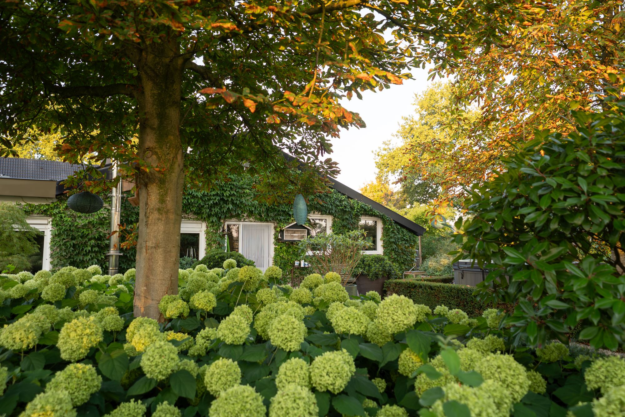 tuin met beplanting bij villa