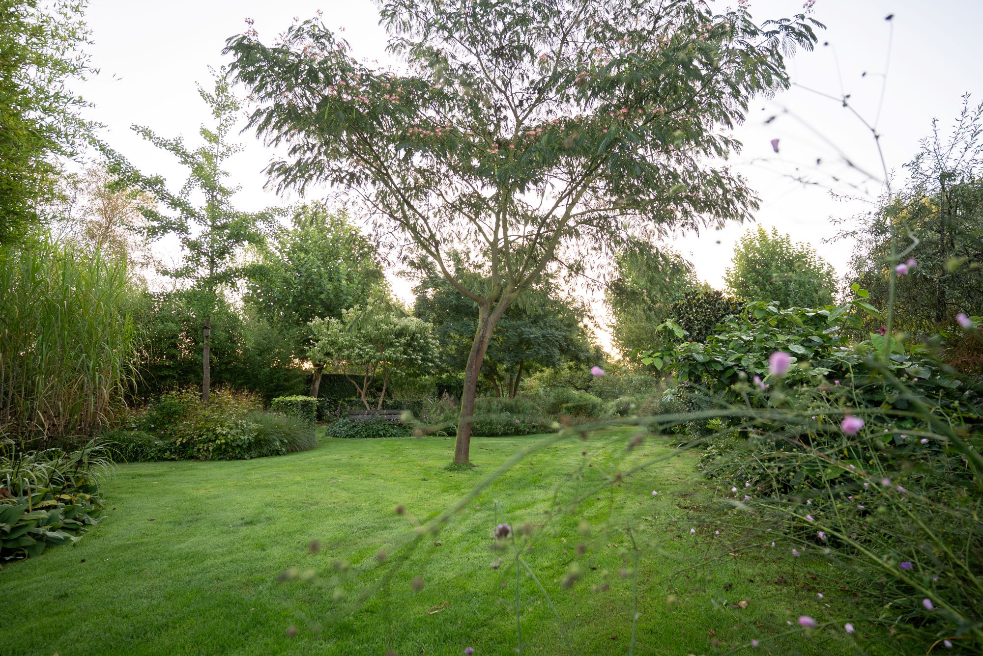 luxe tuin