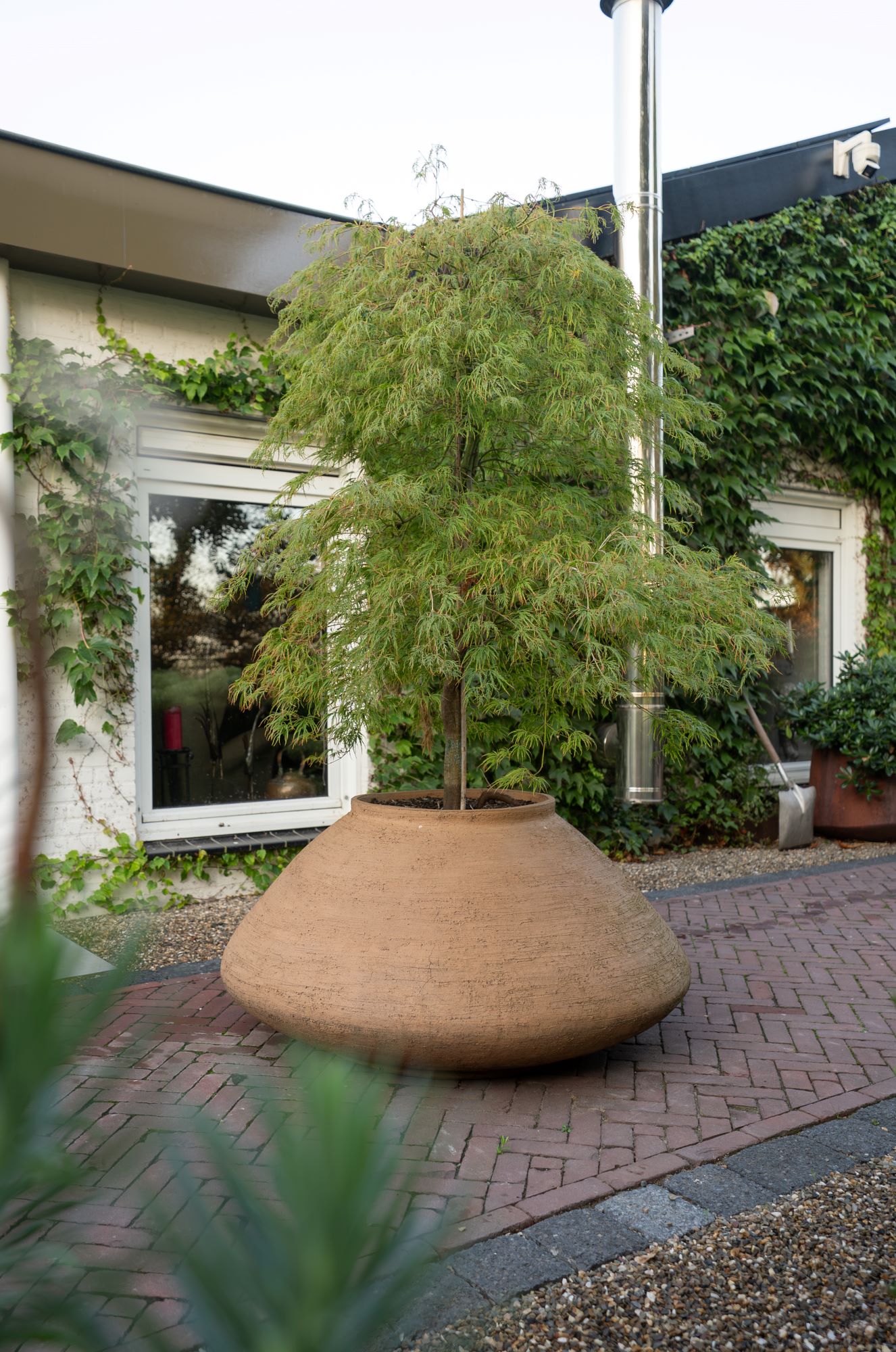 design tuin met pot