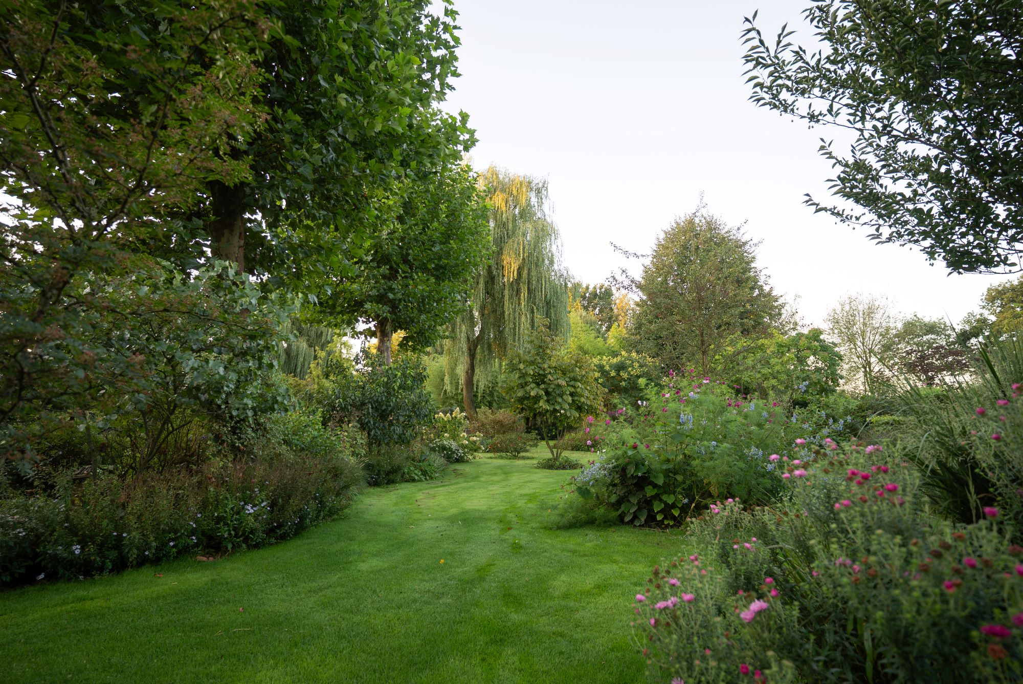 design tuin