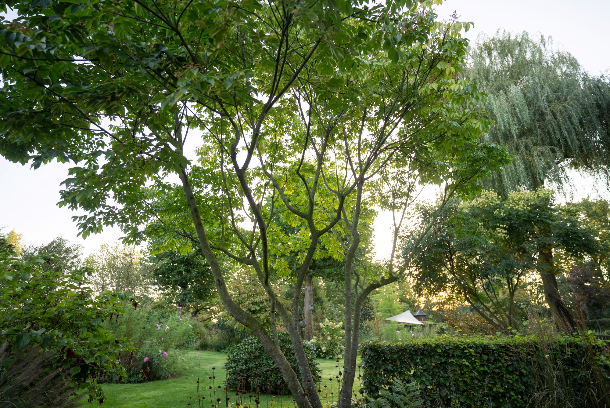 luxe tuin bij villa