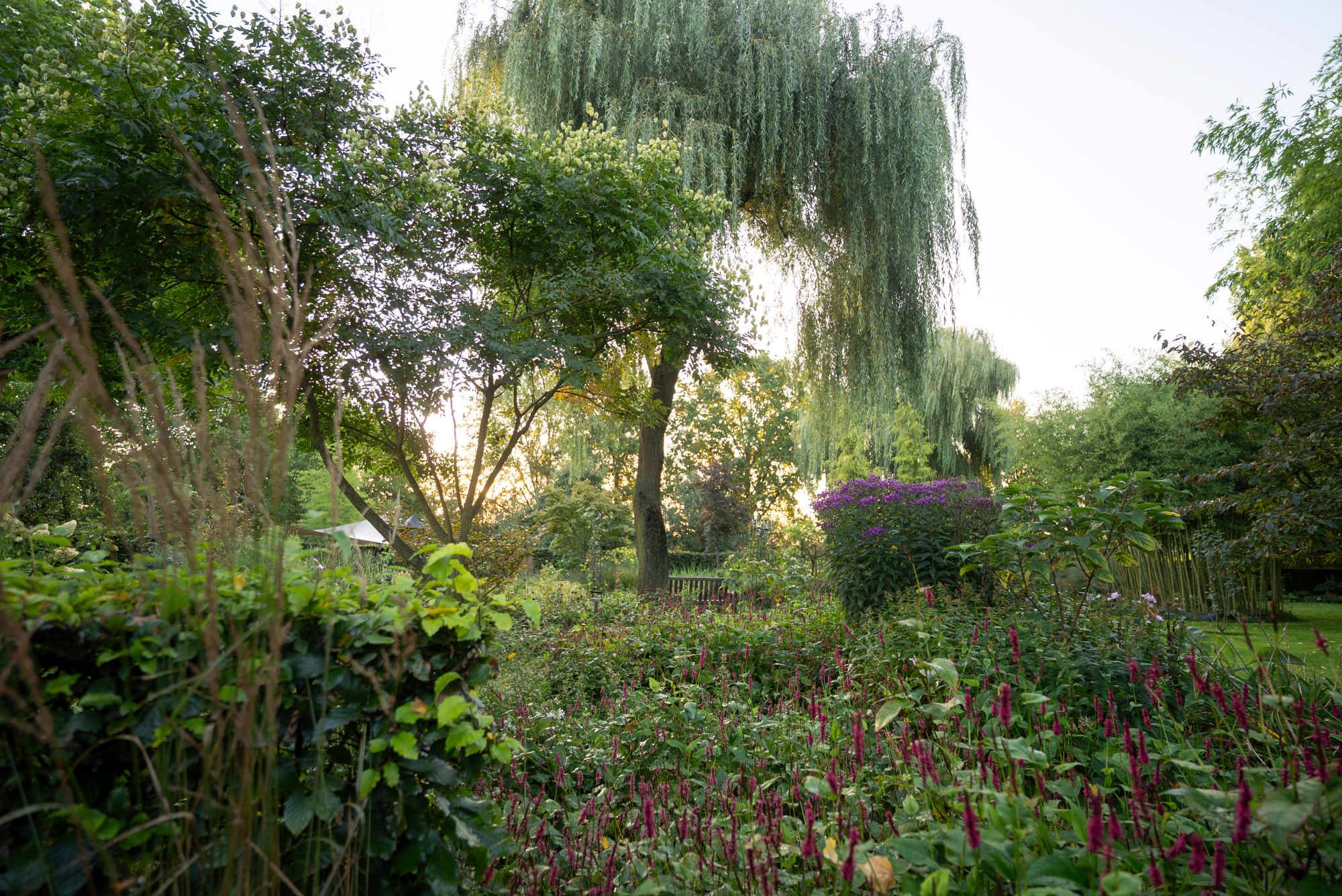 luxe tuin met beplanting