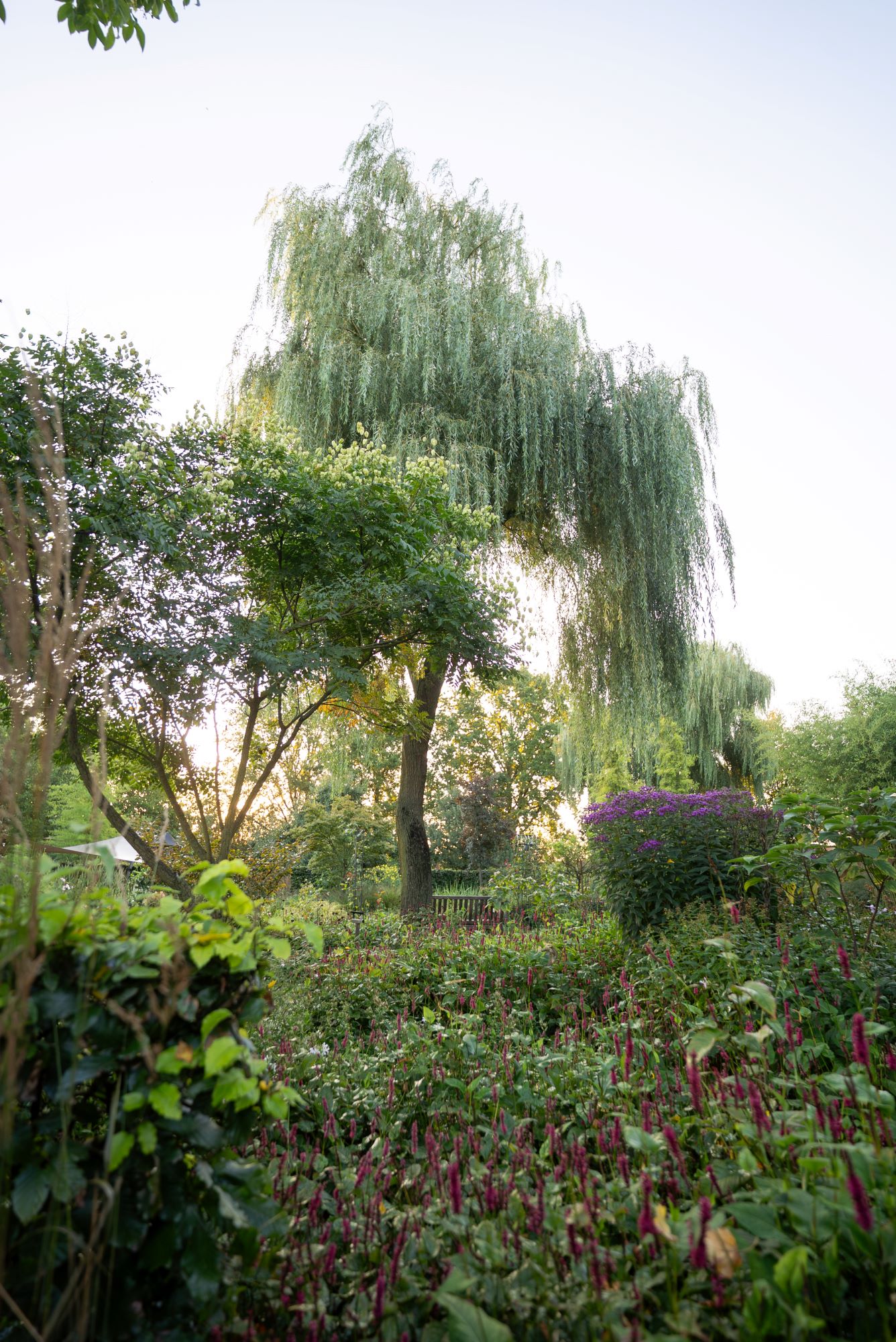 exclusieve tuin