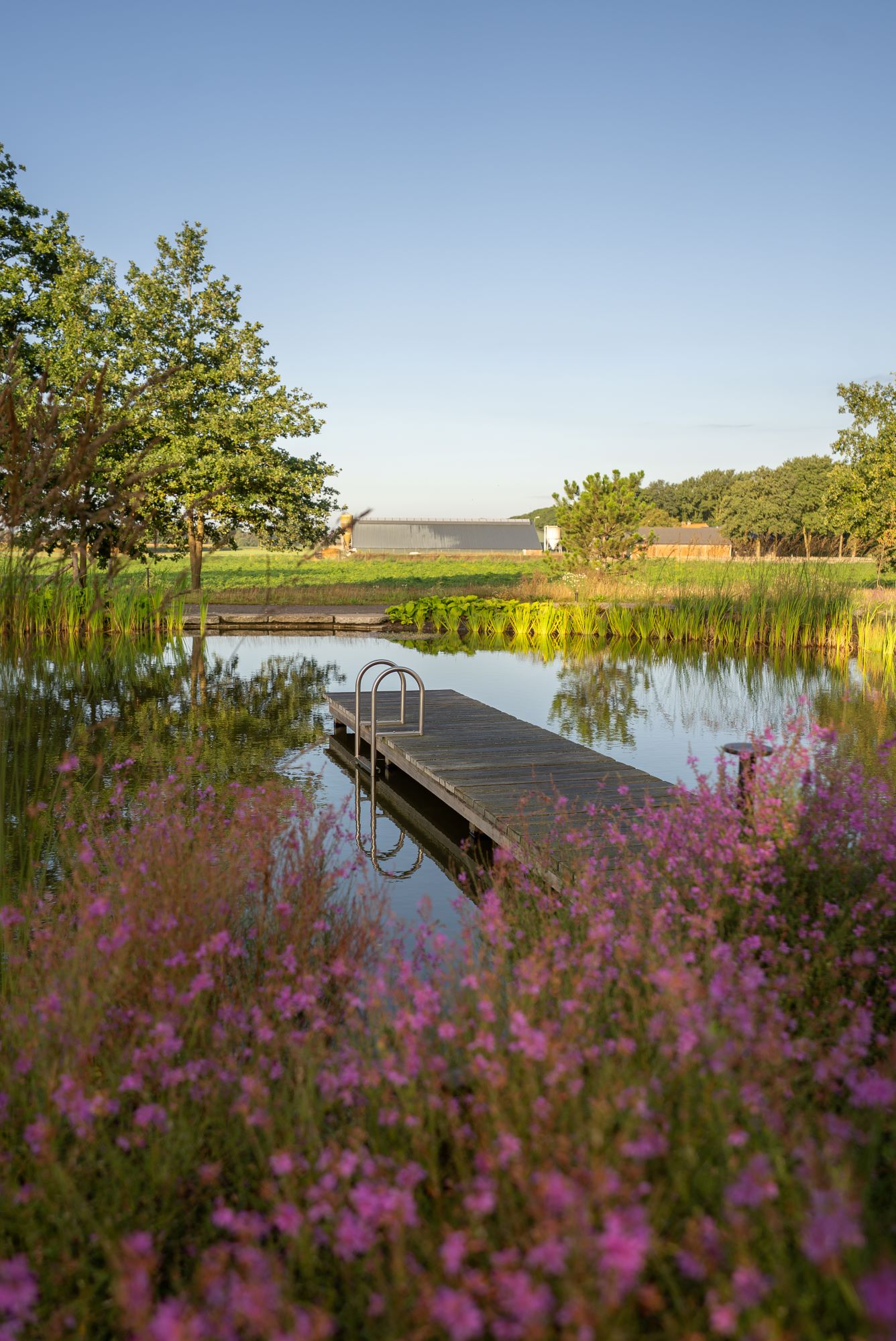 luxe tuin met vijver