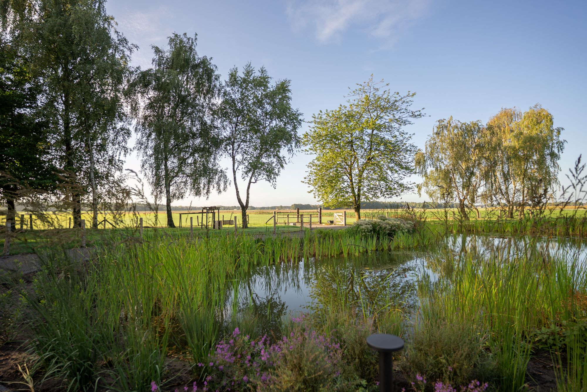 luxe vijver met bomen