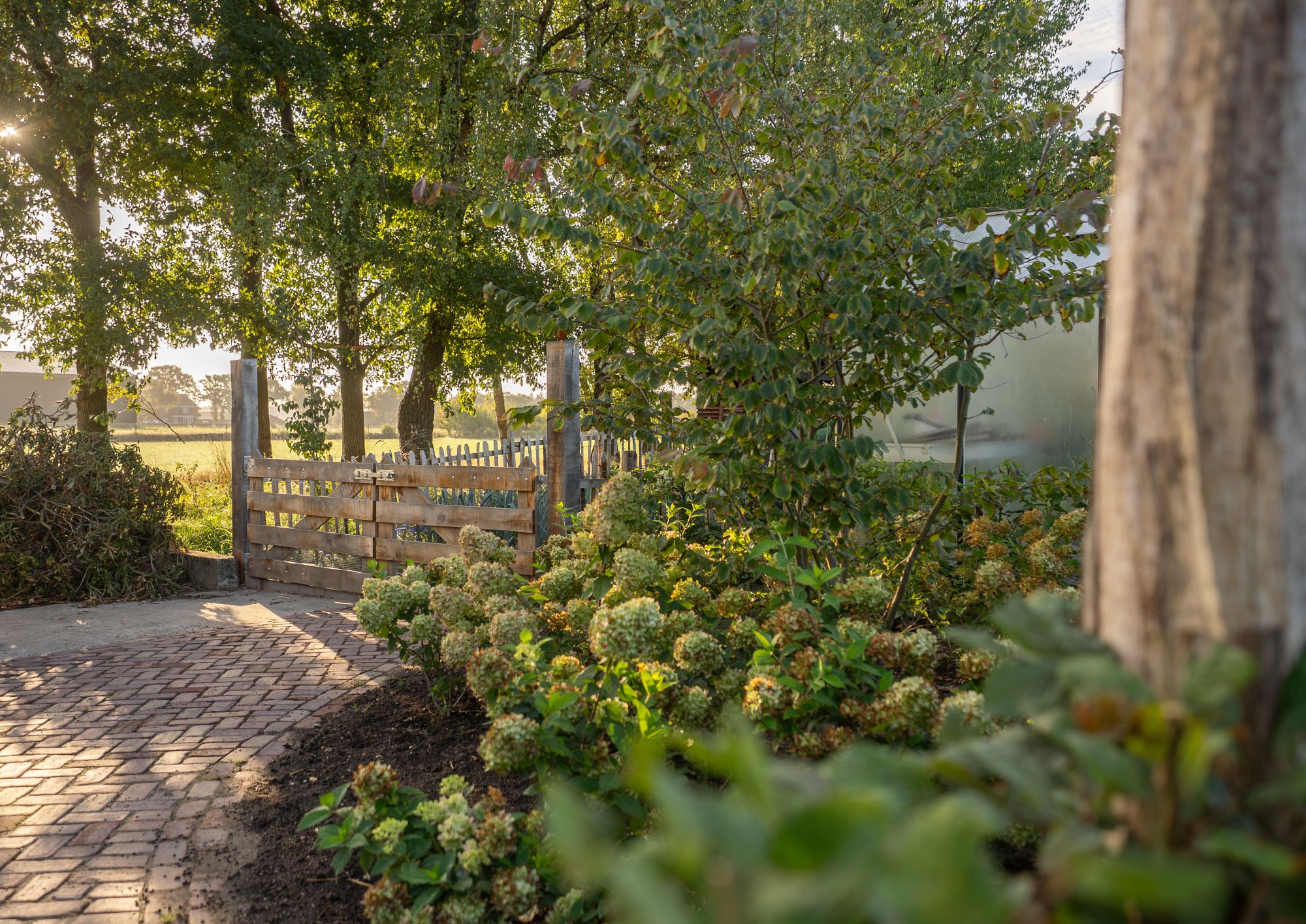 luxe beplanting in tuin