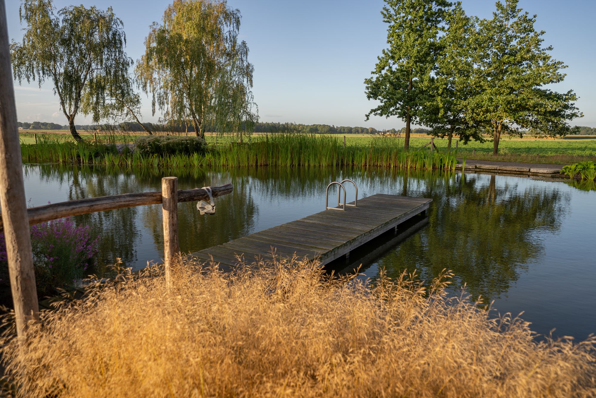 luxe vijver in tuin