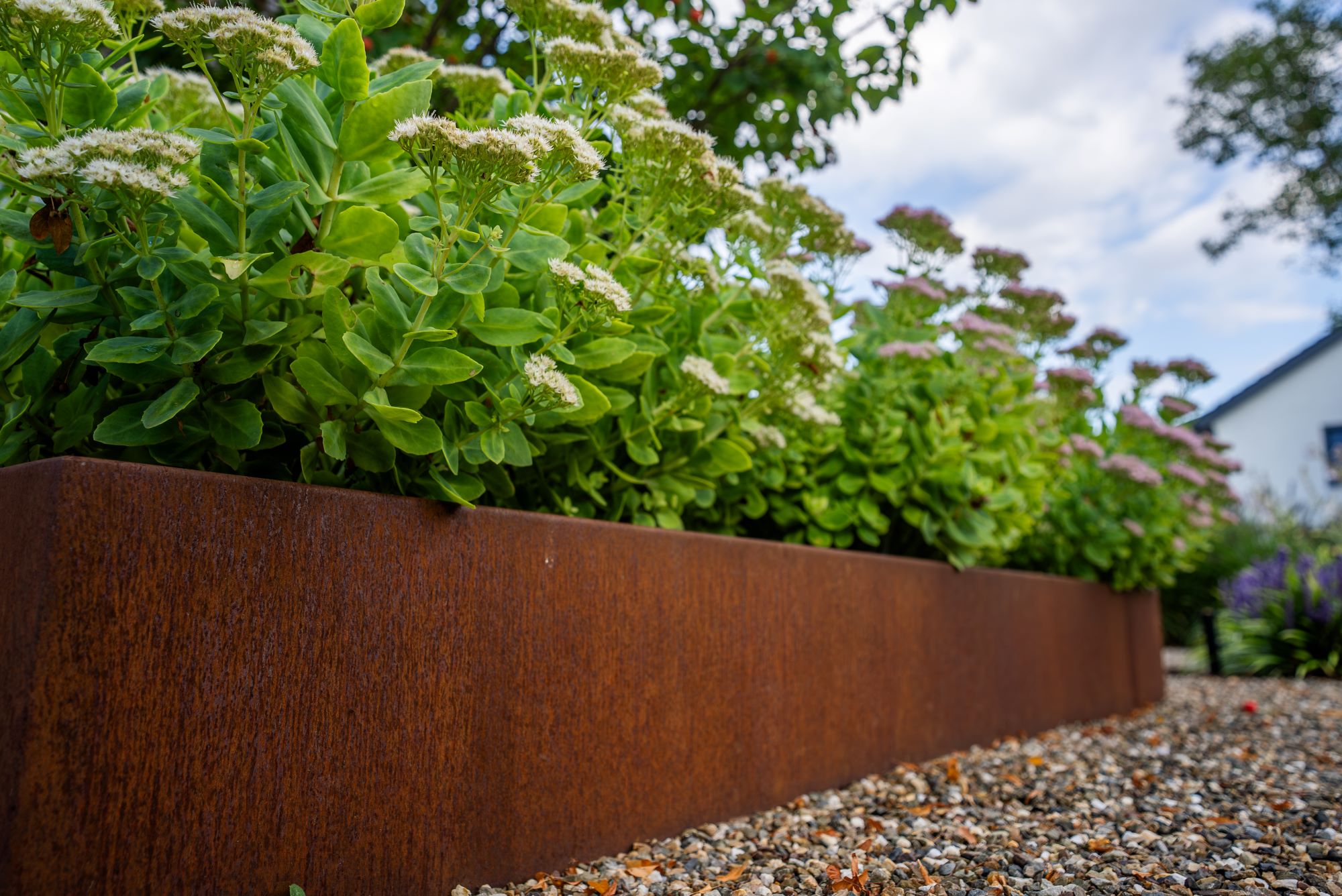 luxe border in tuin