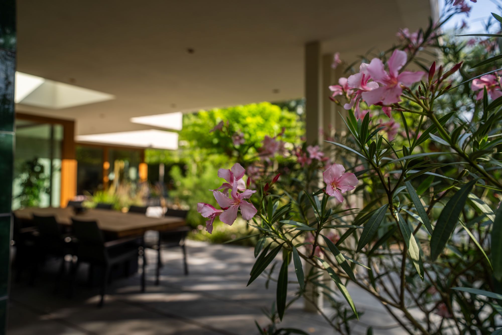 luxe tuin met overkapping