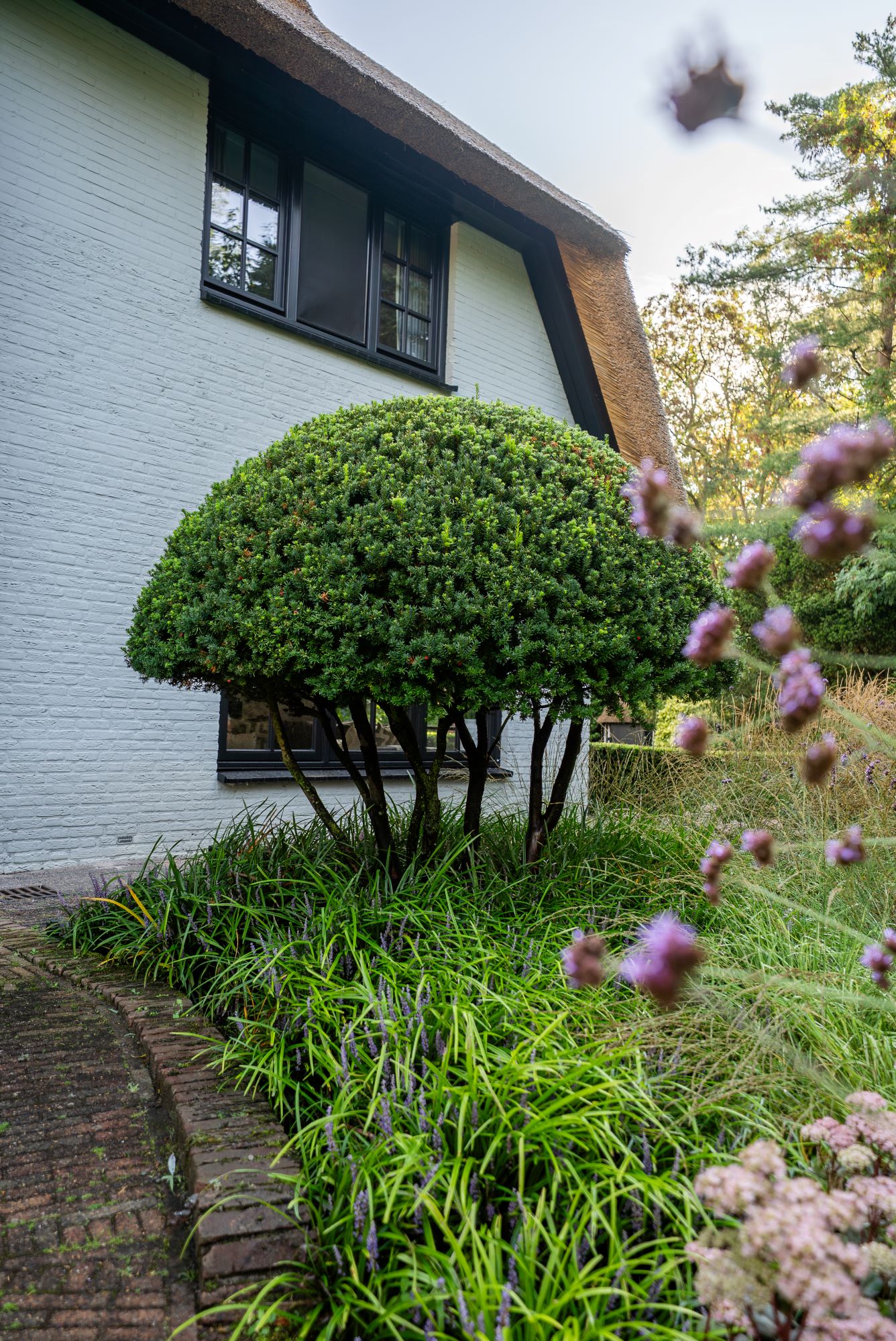 luxe beplanting 