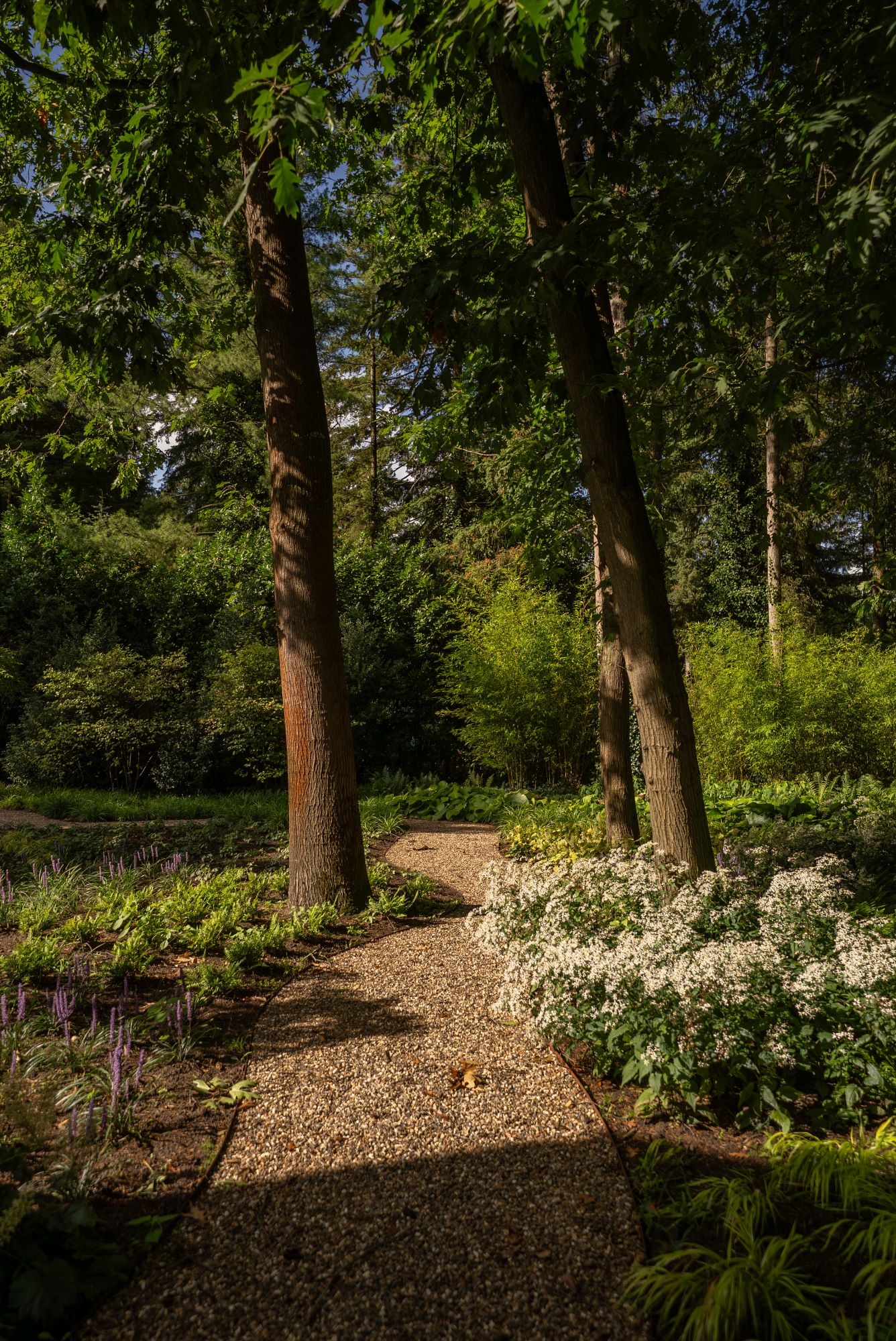luxe tuin
