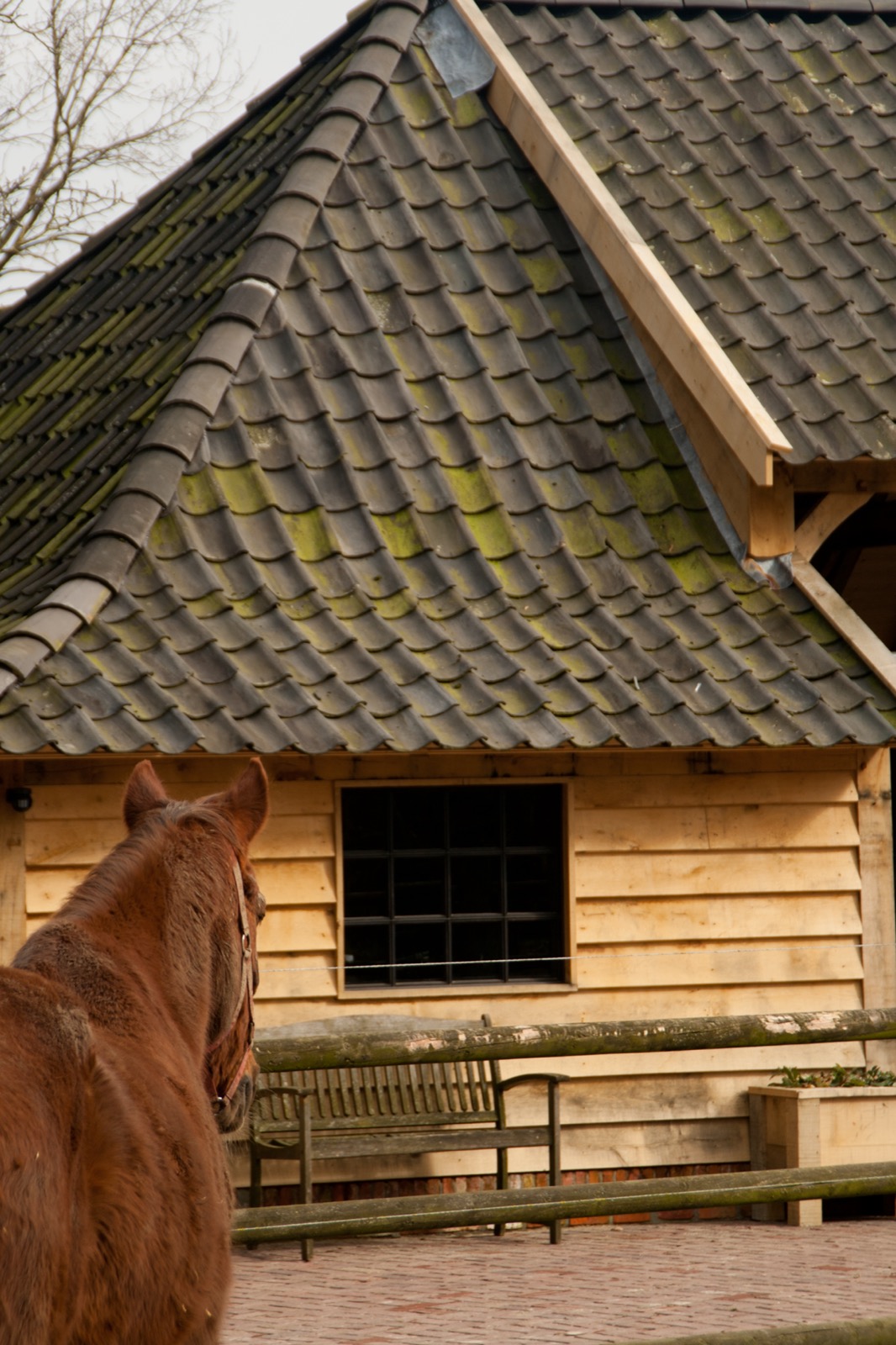 bijgebouw op maat