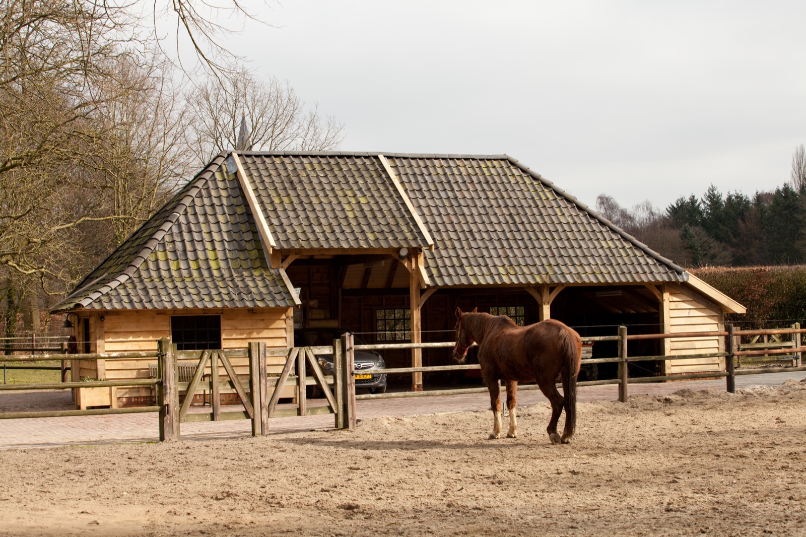 maatwerk eiken carport