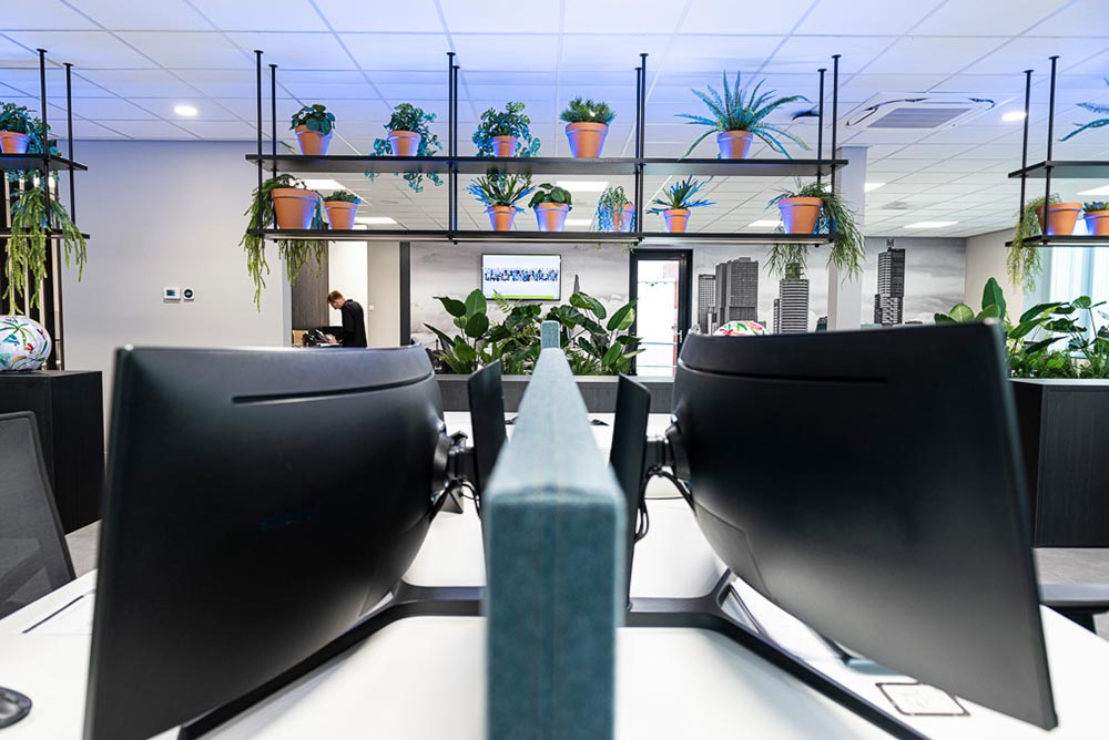 planten op kantoor