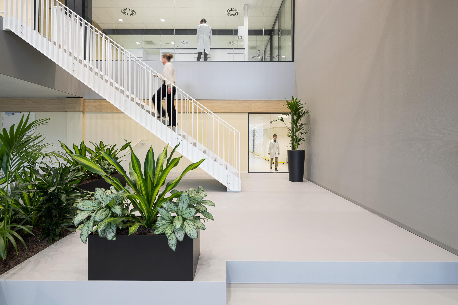 hal met trap en plant