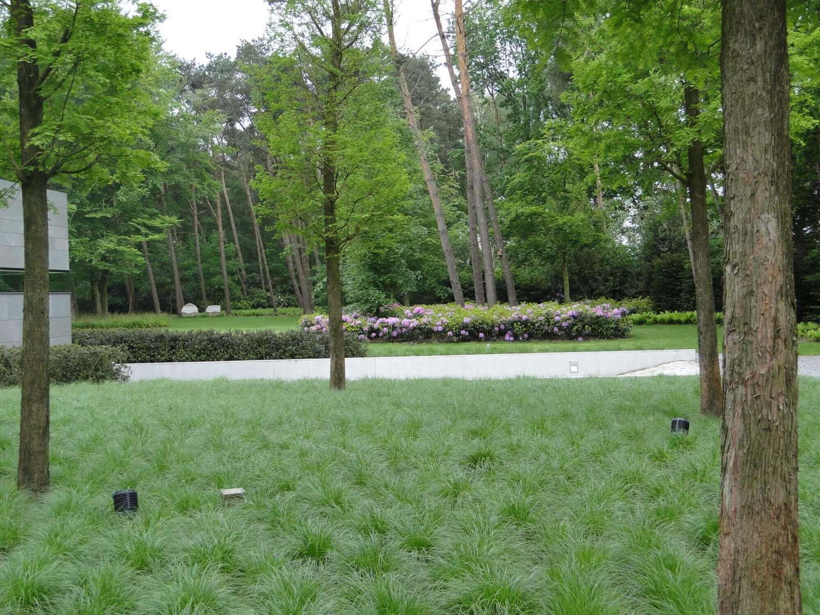 planten in moderne tuin