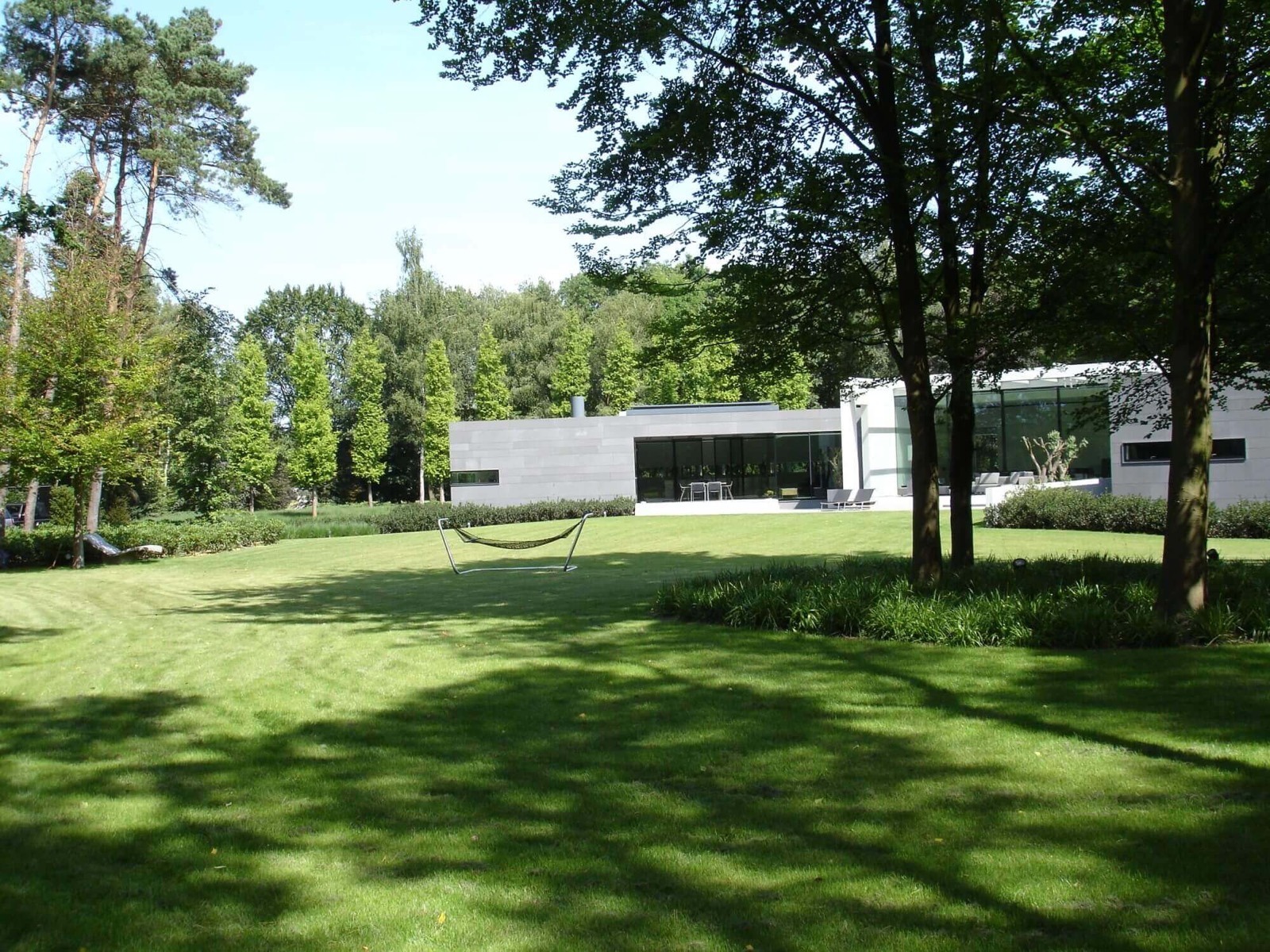 bomen in moderne tuin