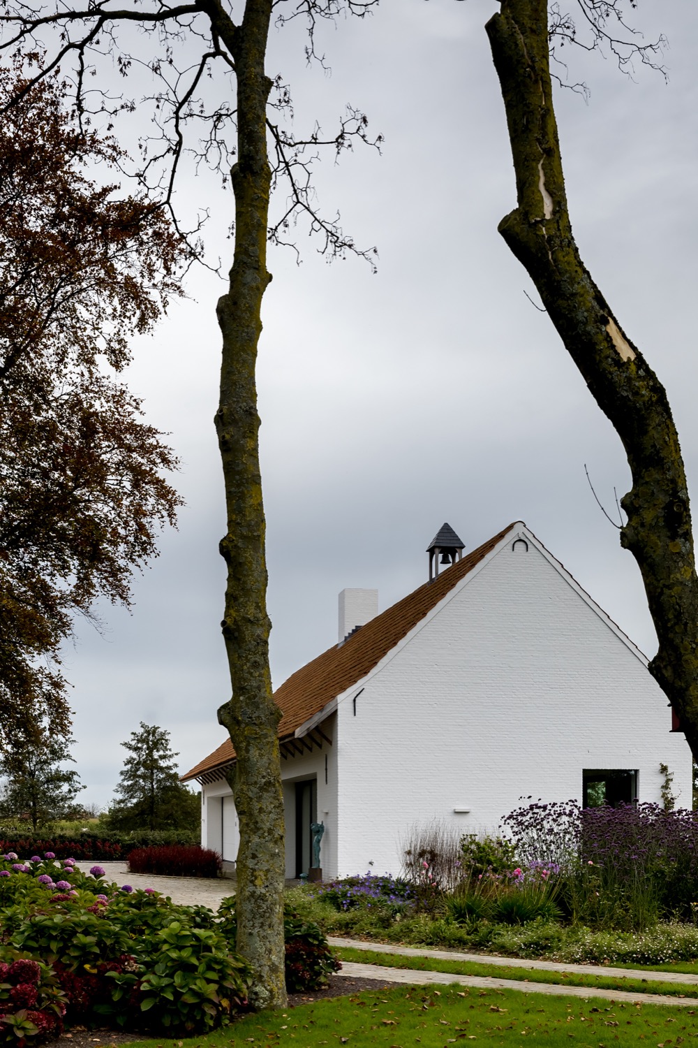 bomen bij villa
