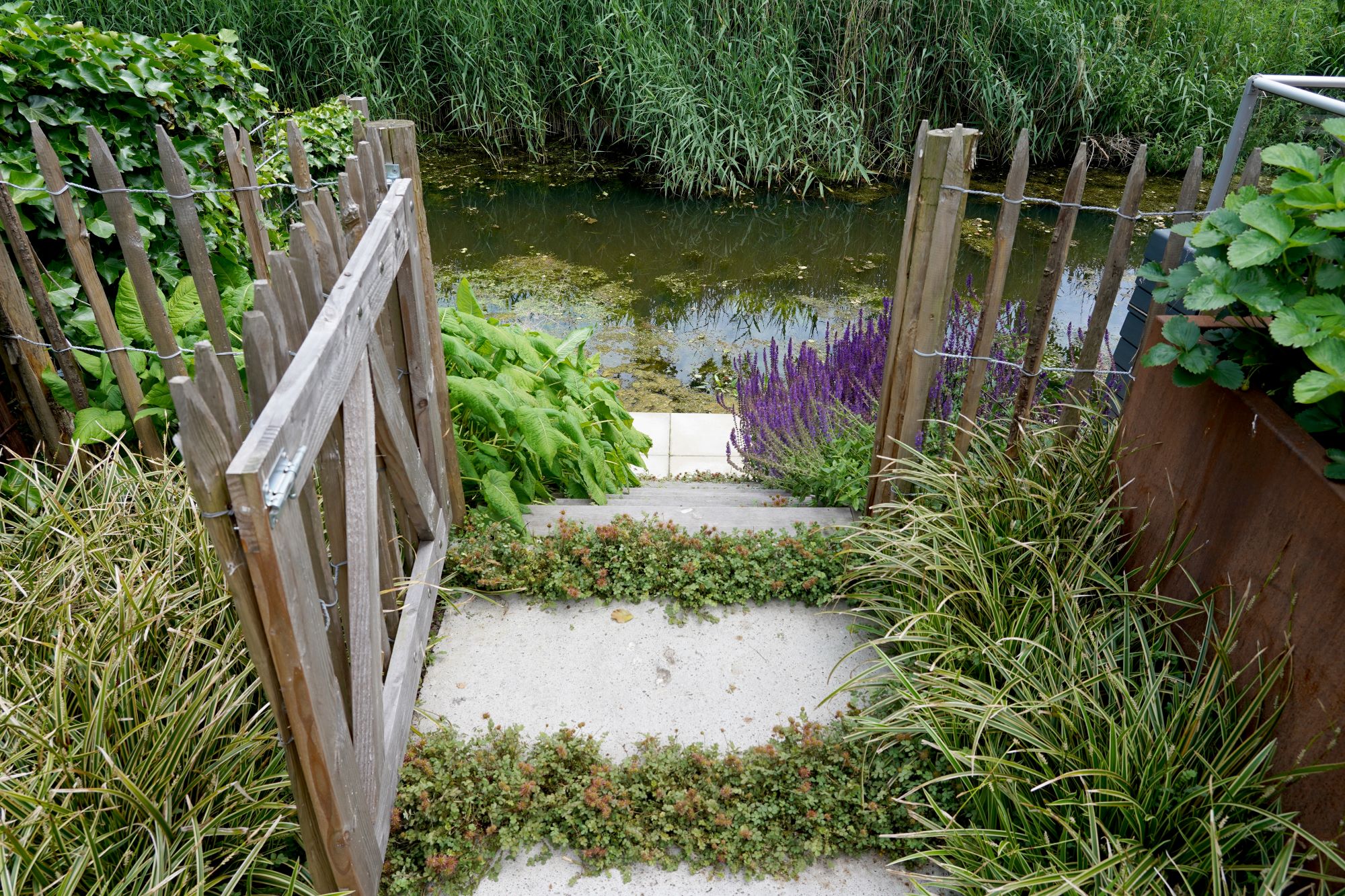 tuin aan het water