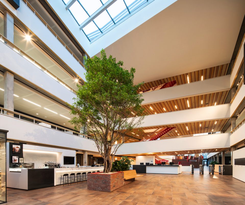 interieur hal met boom