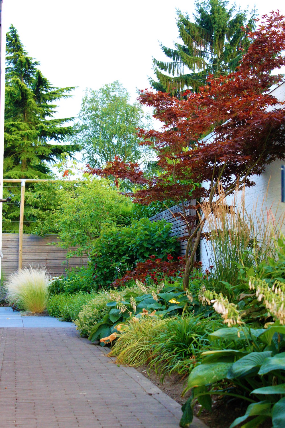 planten in tuin