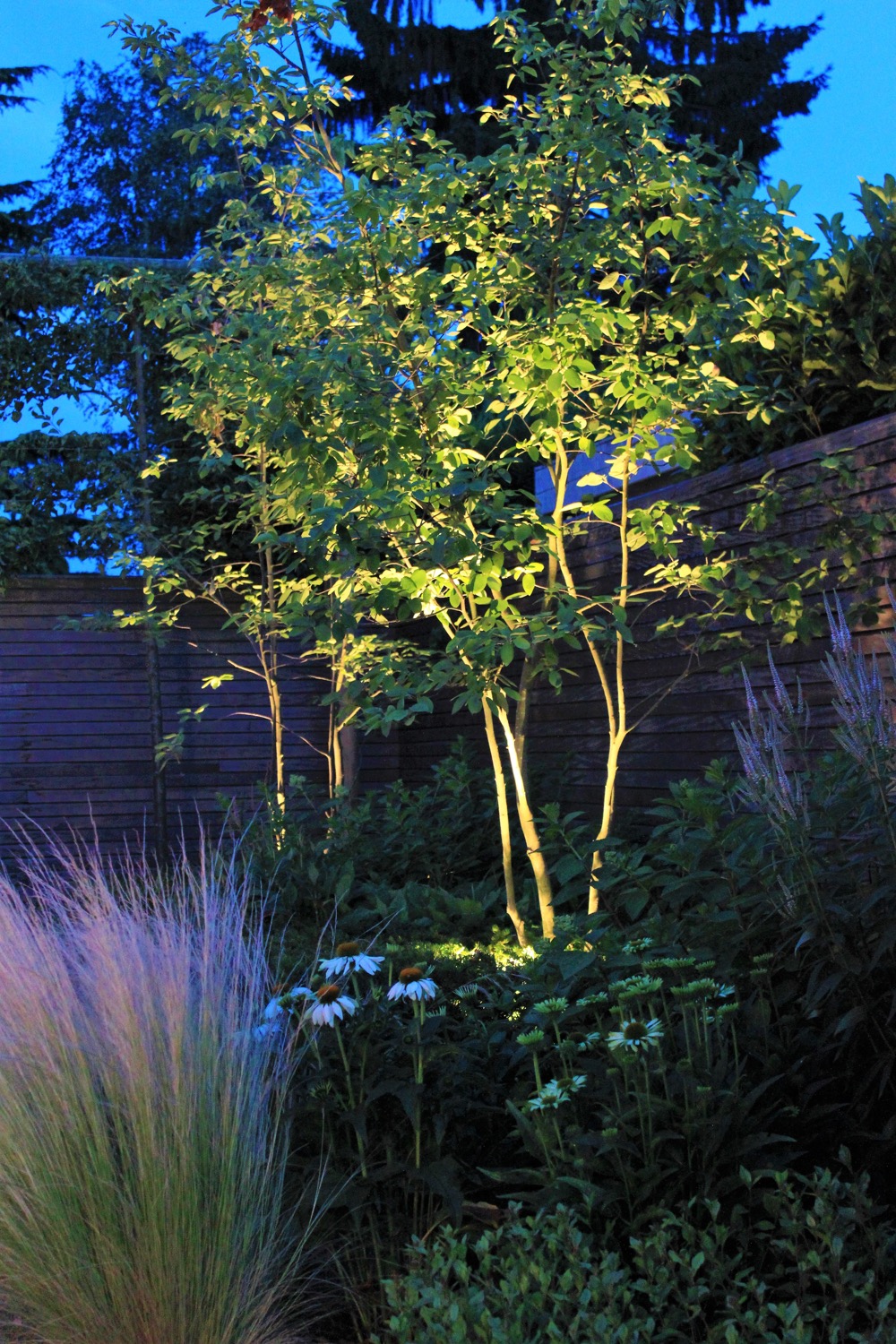verlichte bomen