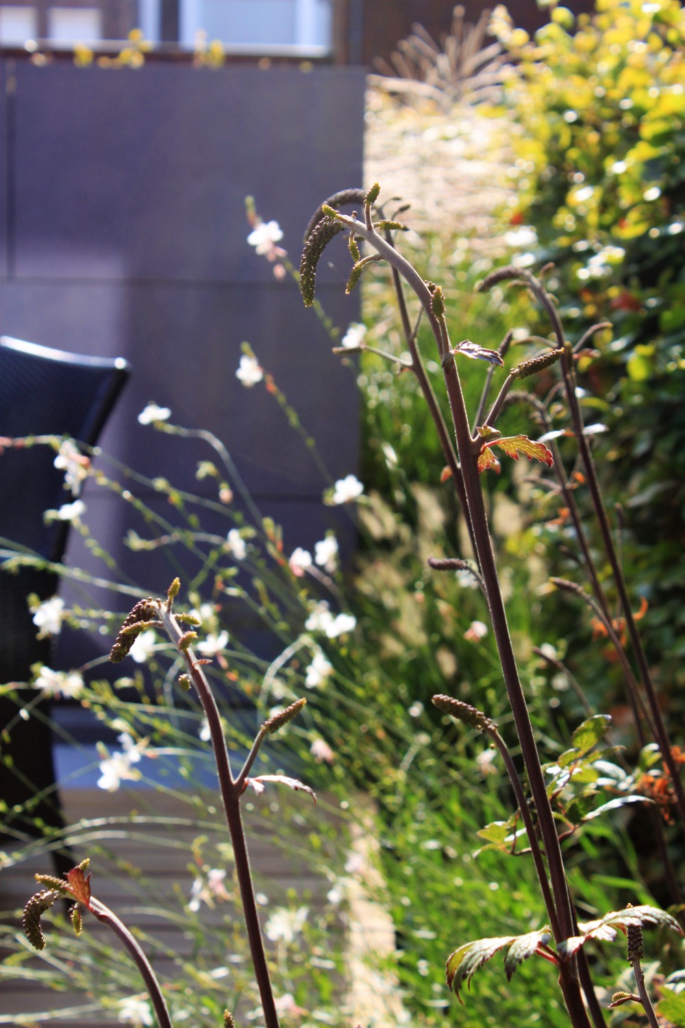 bloemen in tuin